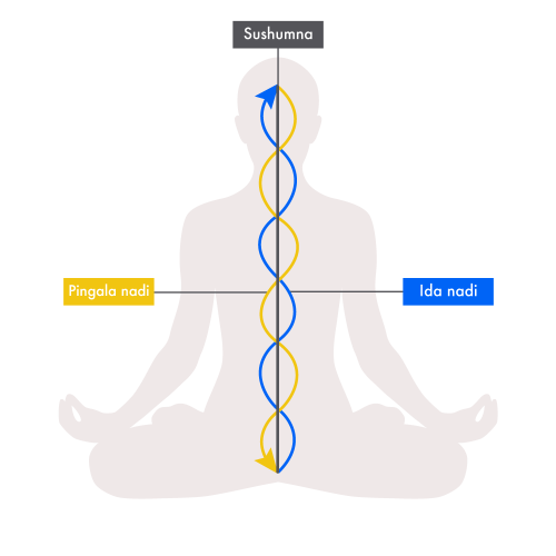 Прана - универсалната жизнена енергия в хатха йога, протичаща през нади каналите