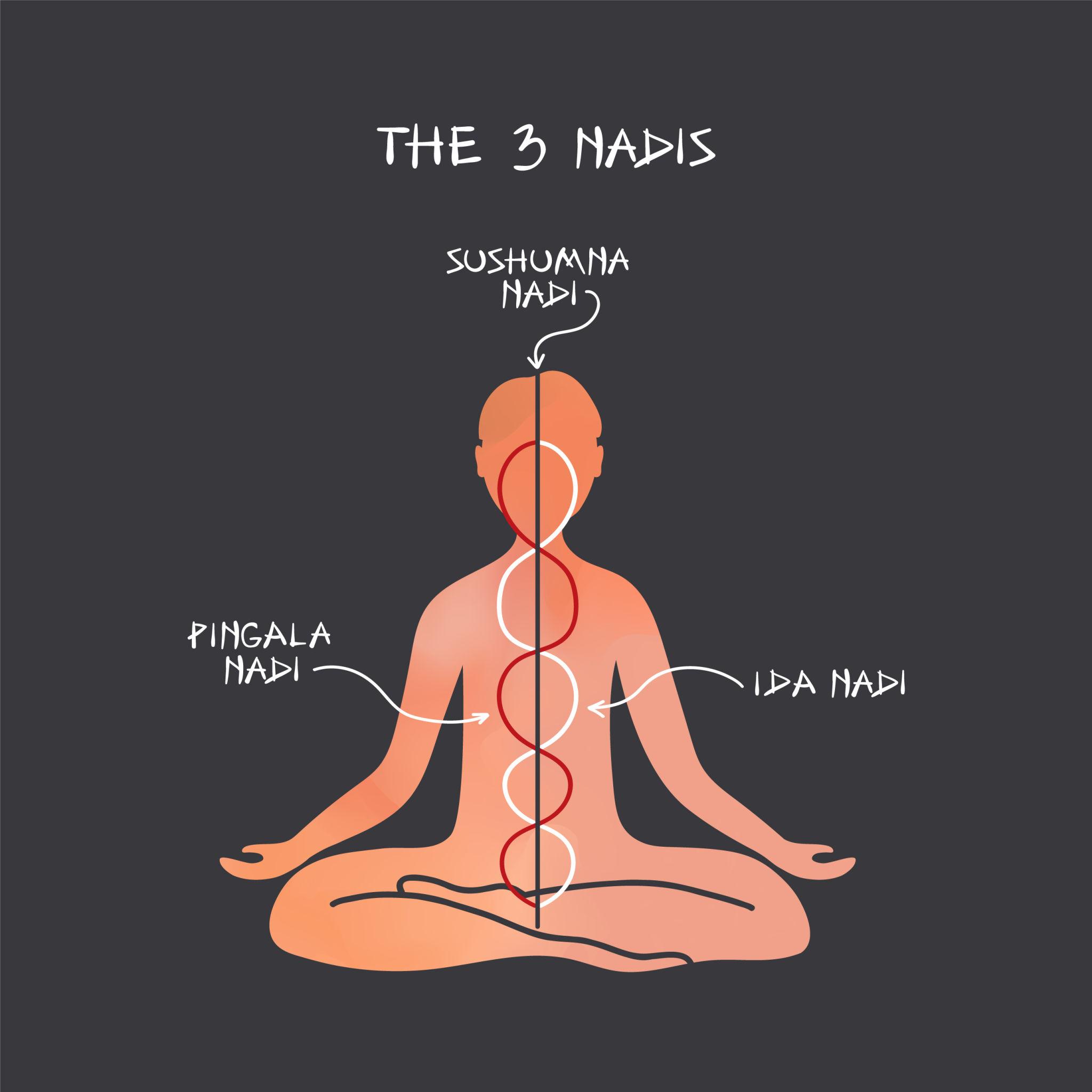 Мудри в йога – позиции на ръцете и пръстите, жестове за прана и медитация