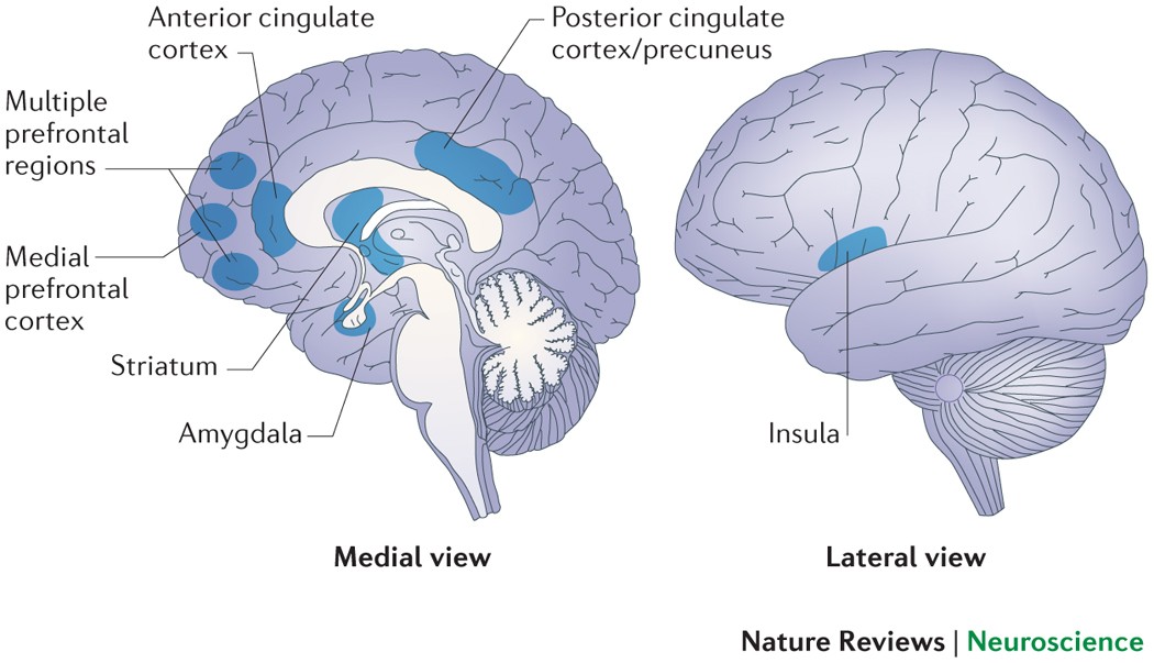 Мудри и прана в йога – връзка между пръстите и енергийните канали (чакры)