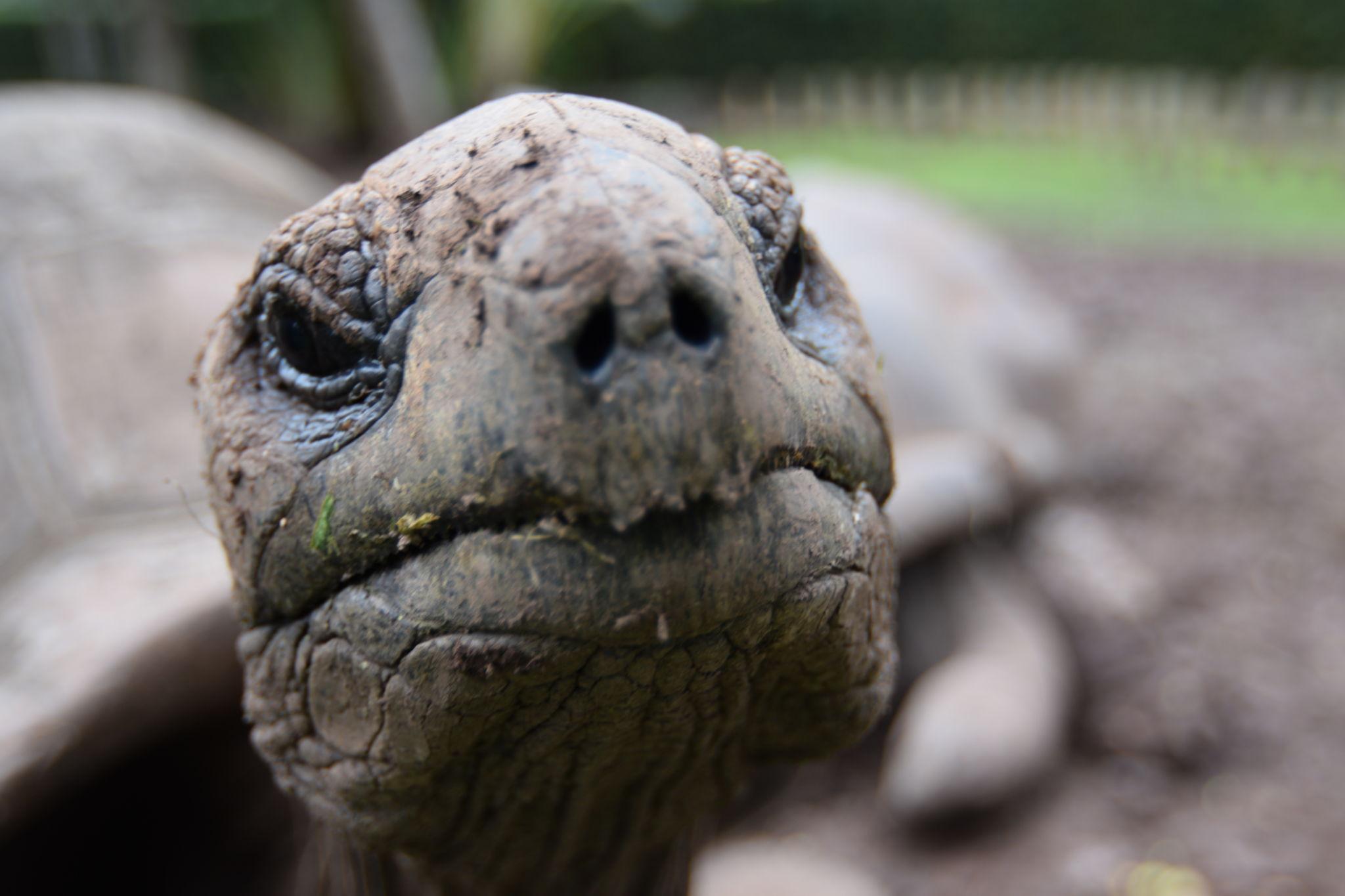 Връзка между дишането и дълголетието - бавното и дълбоко дишане поддържа сърцето по-силно и стабилно, особено важно за хора между 35 и 55 години